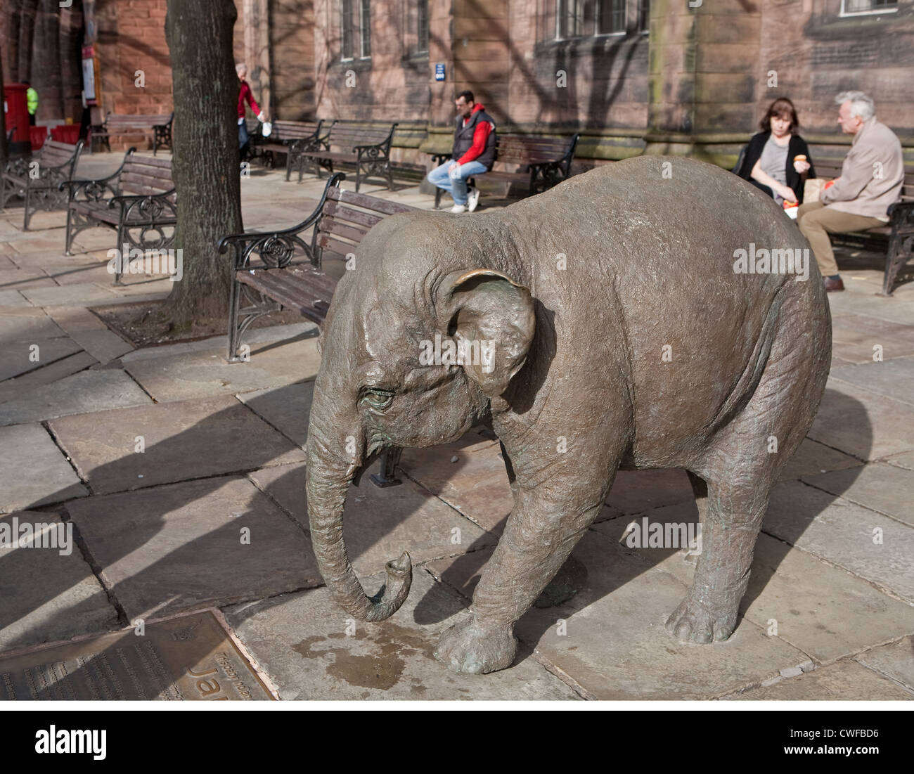 A bronze calf elephant statue in Chester Stock Photo Alamy