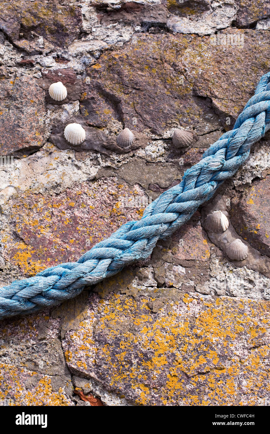 Old rope hanging on a harbour wall. Stock Photo