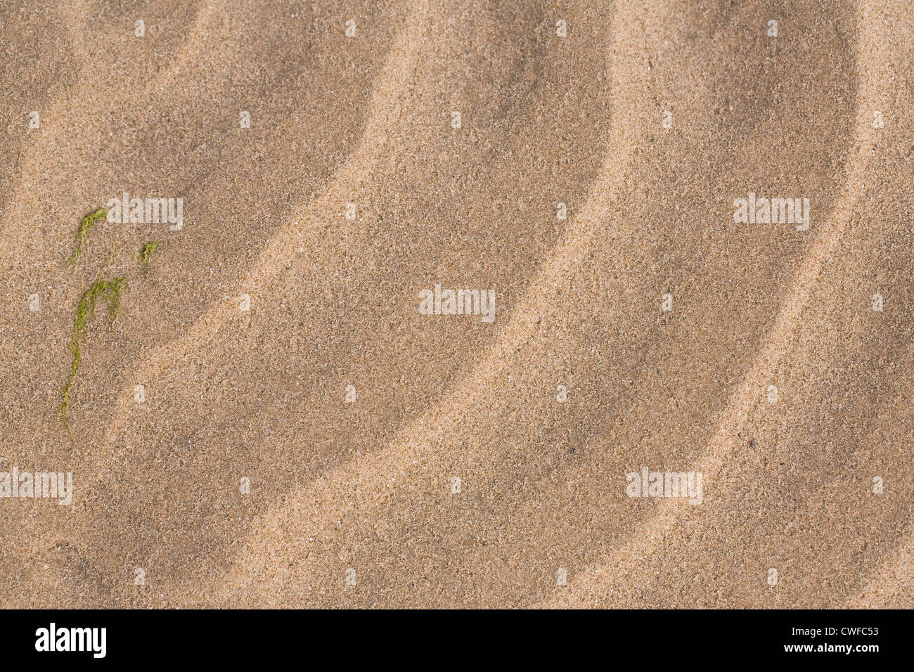 Pattern left by the tide on a sandy beach. Stock Photo