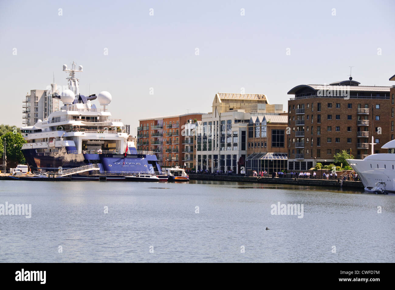 Luxury Yachts at anchor in West India Docks,Octopus belonging to Microsoft Billionaire,Canary Wharf Buildings,London,UK Stock Photo