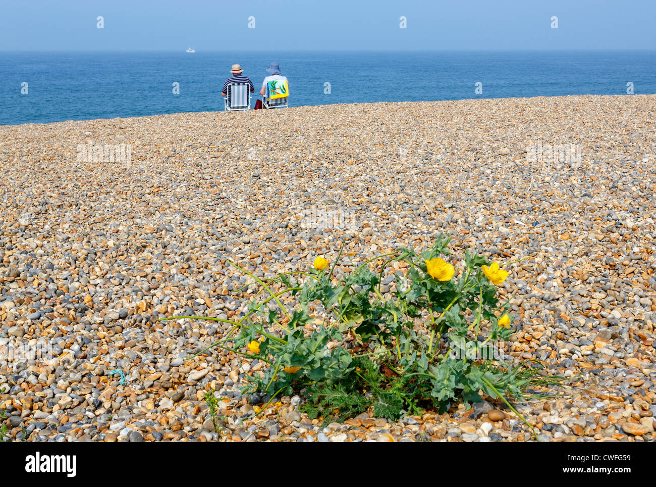 People relaxing on the holiday beach at Weybourne on the 'North Norfolk' coast, UK Stock Photo