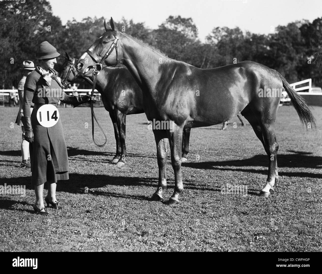 A female judge appraises a horse at a horse show at Tuxedo Park, New York, ca 1938 Stock Photo