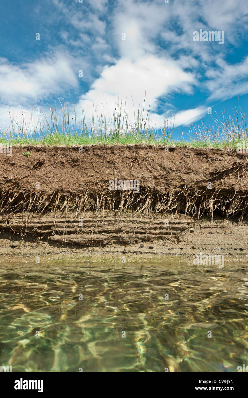 Riverbank on a clear day showing cross section of the earth with roots and layers of dirt Stock Photo