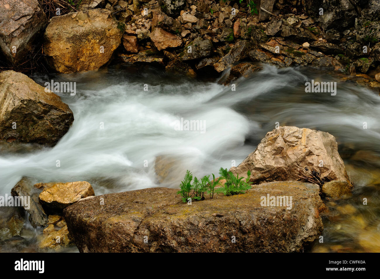 Spearfish Creek, near Spearfish, South Dakota, USA Stock Photo Alamy