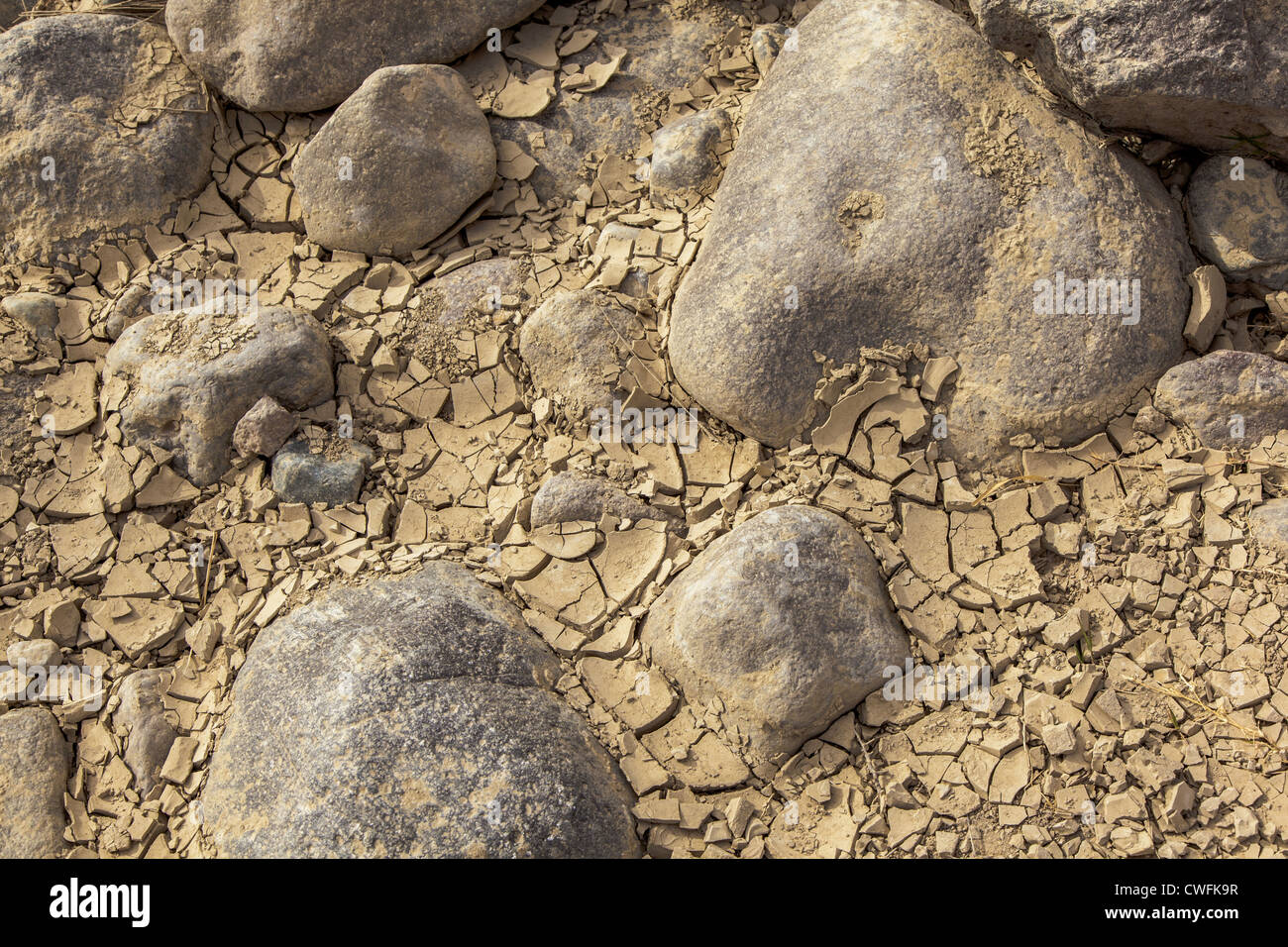 Patchwork of cracked dry mud and rocks caused by severe drought in southwest United States Stock Photo