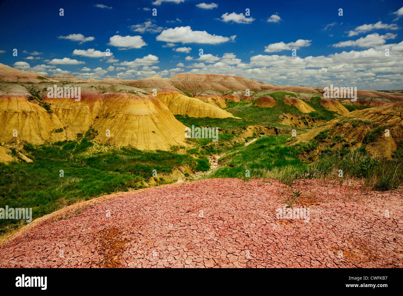 Paleosol mounds in Conata Basin, Badlands National Park, South Dakota, USA Stock Photo