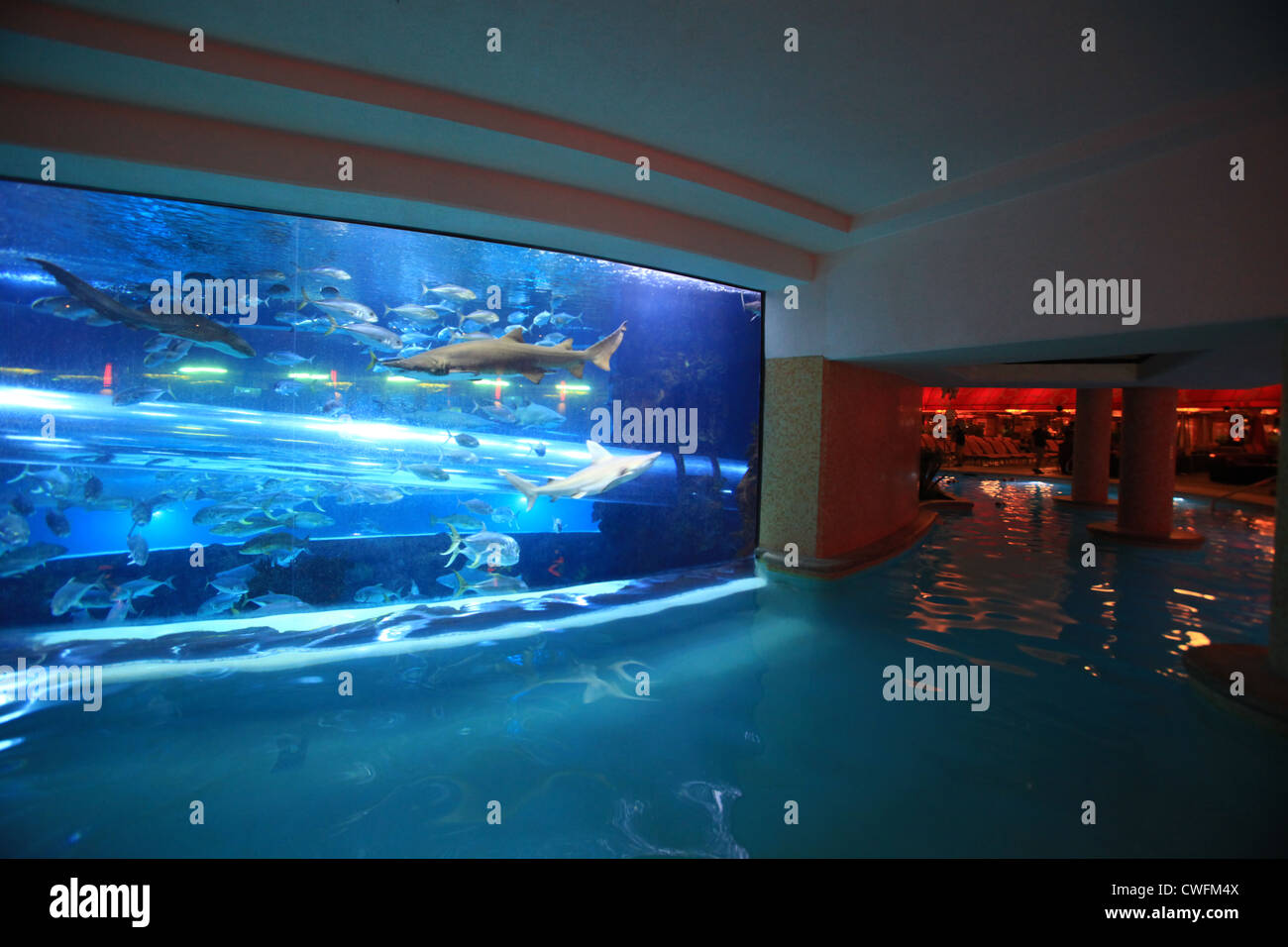 Shark tank slide and pool in Golden nugget casino hotel in Las Vegas,  Nevada, US Stock Photo - Alamy