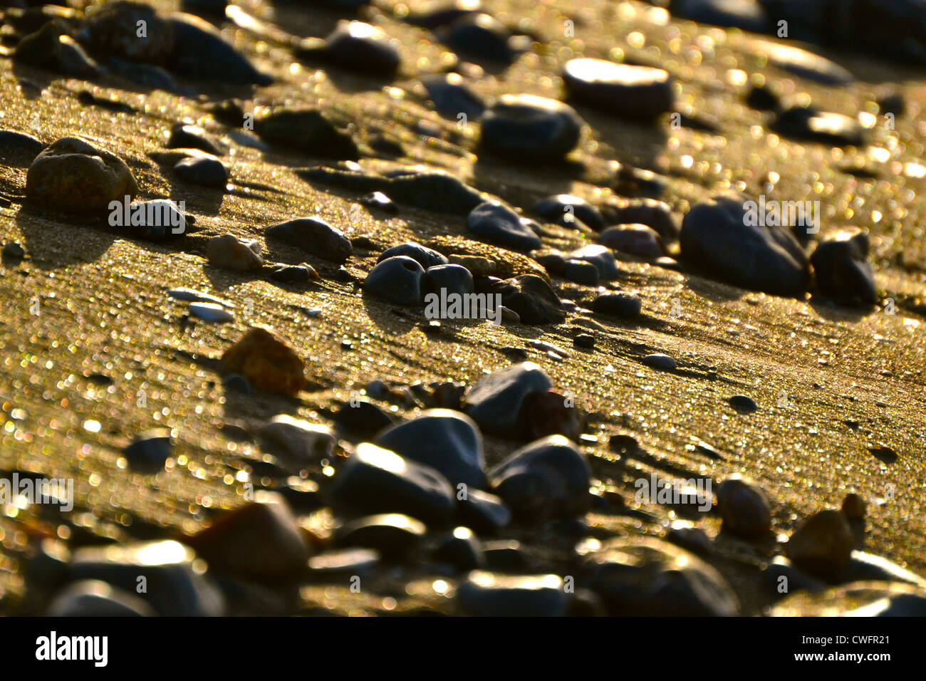 Pebbles on a Beach in Oman at Sunset Stock Photo Alamy