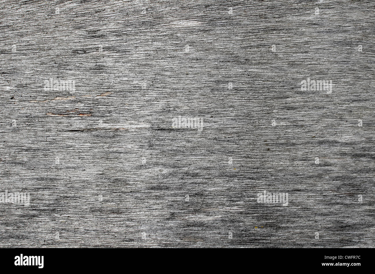 Close surface detail of weathered plywood exposed to the elements Stock Photo Alamy