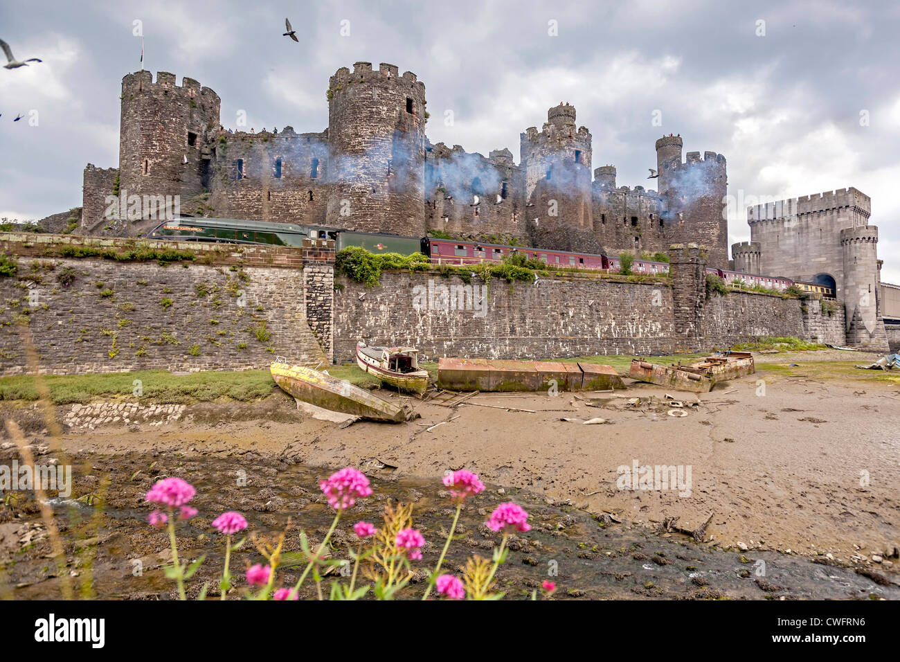 Conwy Castle. Steam train The Union of South Africa Stock Photo