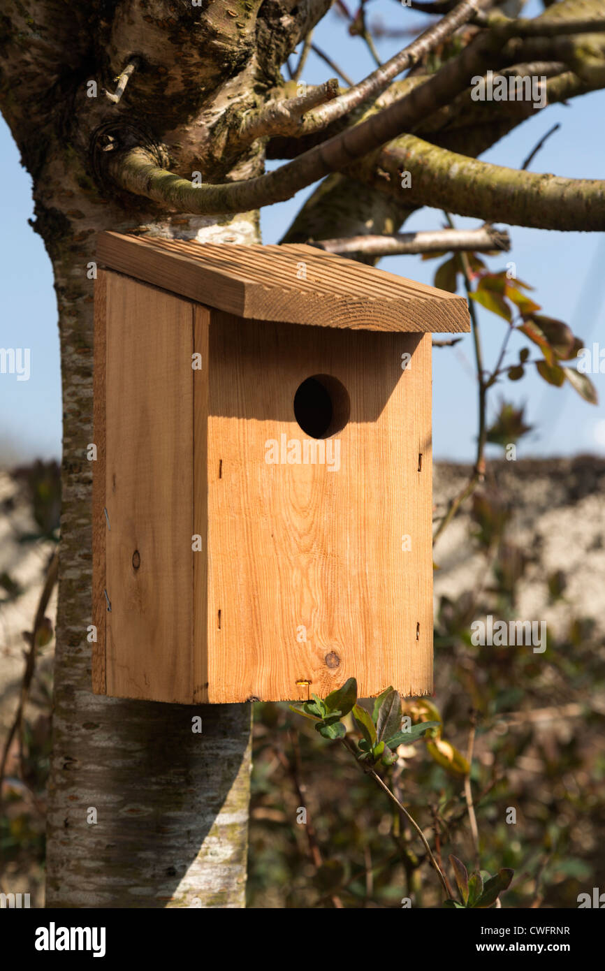 Bird nesting box Stock Photo Alamy