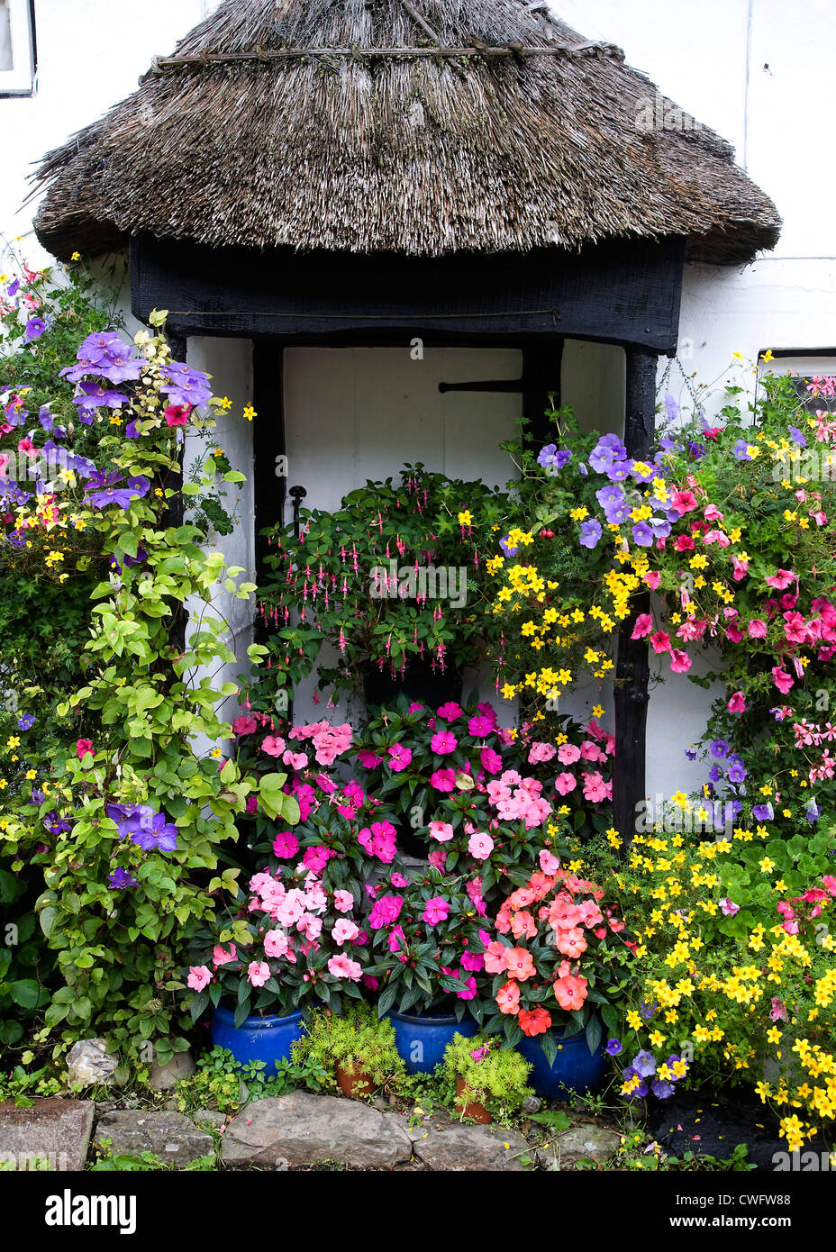 Devon chocolate box thatched cottages in summer Stock Photo Alamy