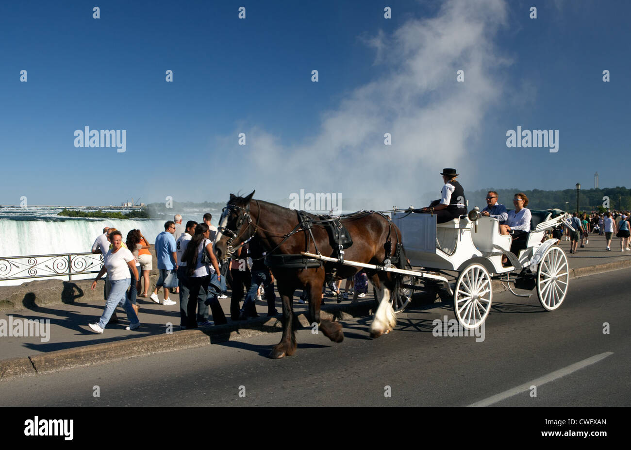 Horse Ride Niagara On The Lake at Nathan Lozano blog