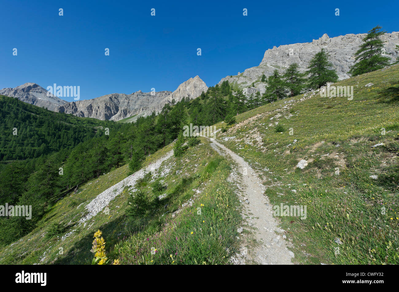 France, Doubs, Alaise, forest, site to Chatelaillon, La Gauloise Trail,  Gallic vestiges, rock shelter Stock Photo - Alamy