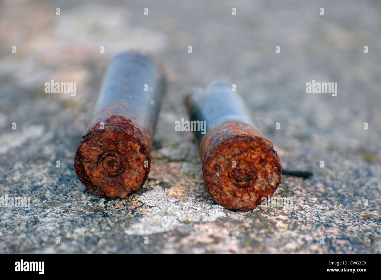 Vintage shotgun ammo hires stock photography and images Alamy