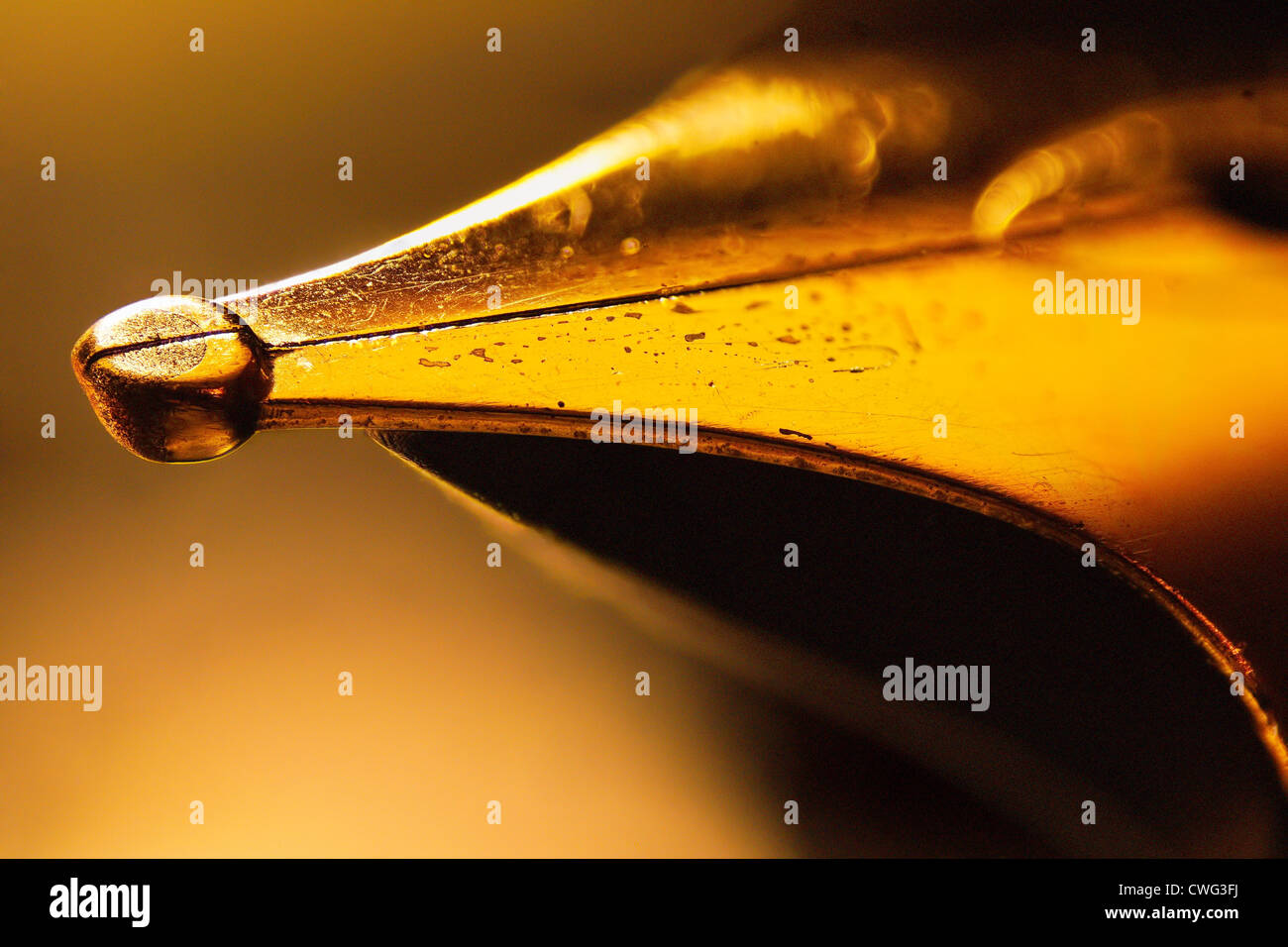 Golden tip of a fountain pen Stock Photo Alamy