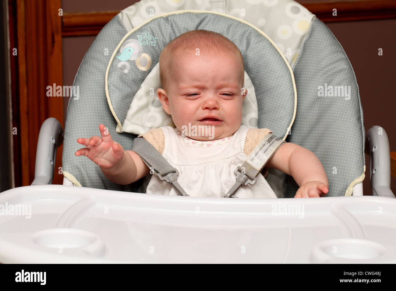 A 6 month old baby girl, sitting in a high chair, cries while waiting to be fed Stock Photo