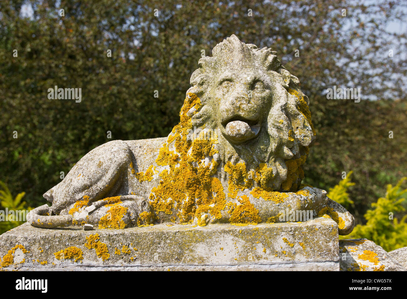 Stone Lion Sculpture Mount Ephraim Gardens Boughton Faversham Kent UK
