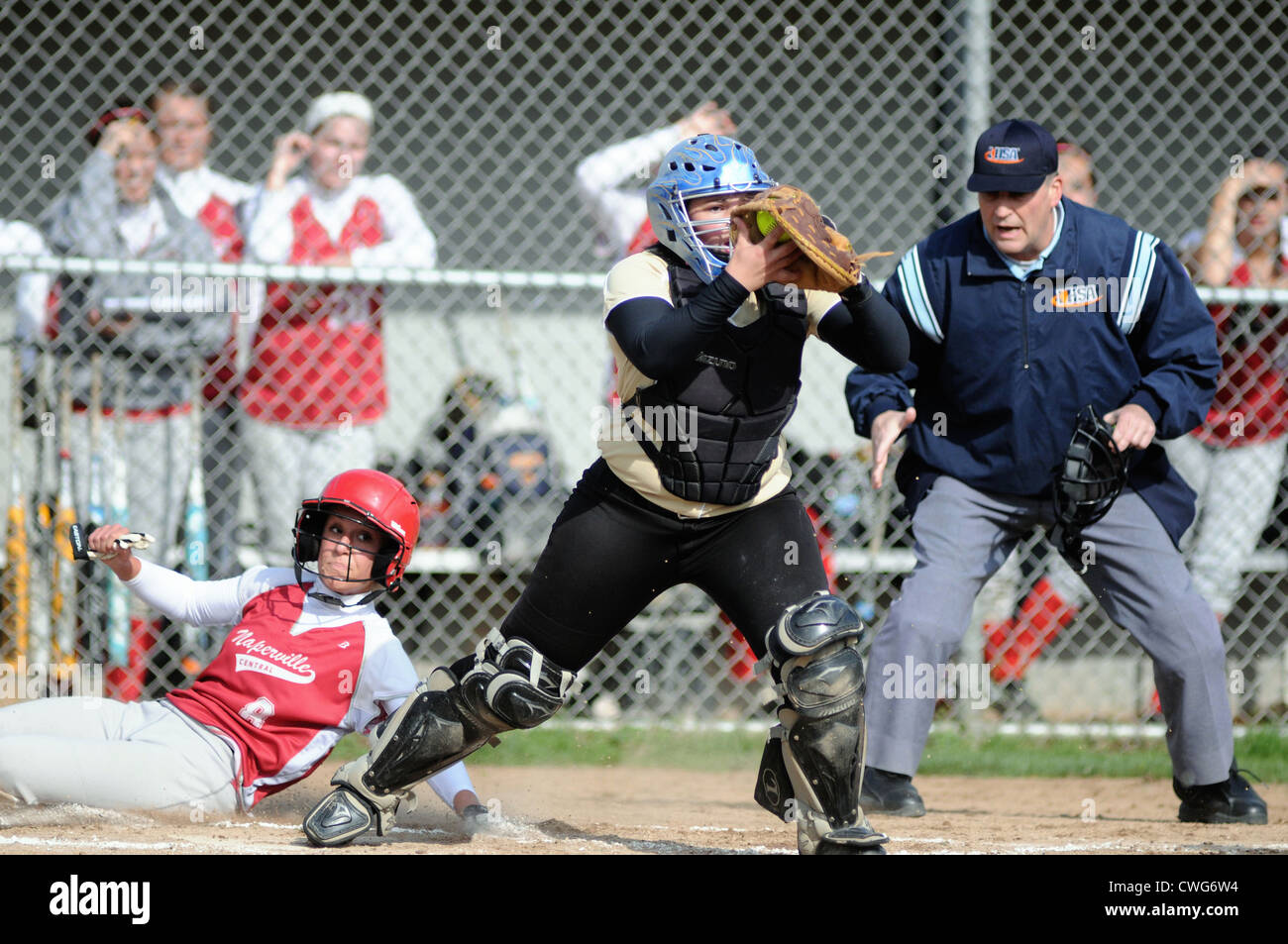 Softball Catcher records a force out at the plate on a sliding runner following an infield tapper to the pitcher. USA. Stock Photo