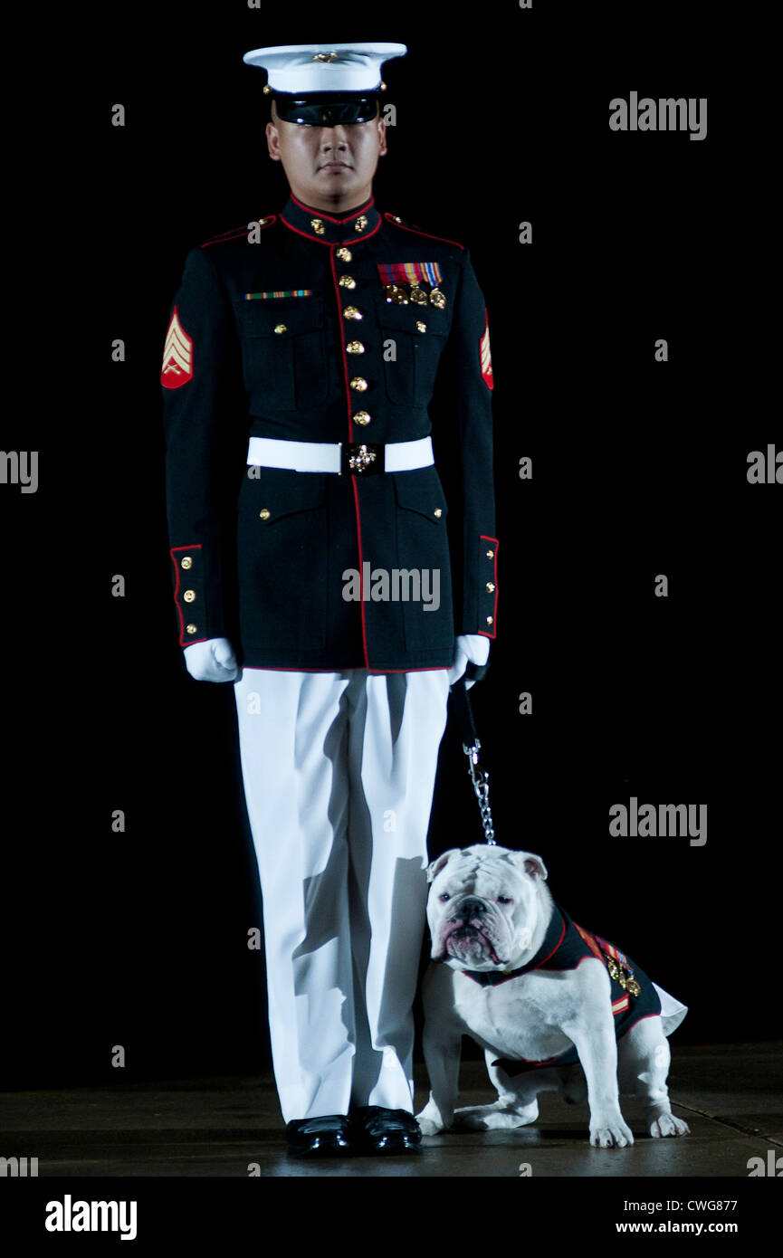 Marine corps clearance dog dress blues