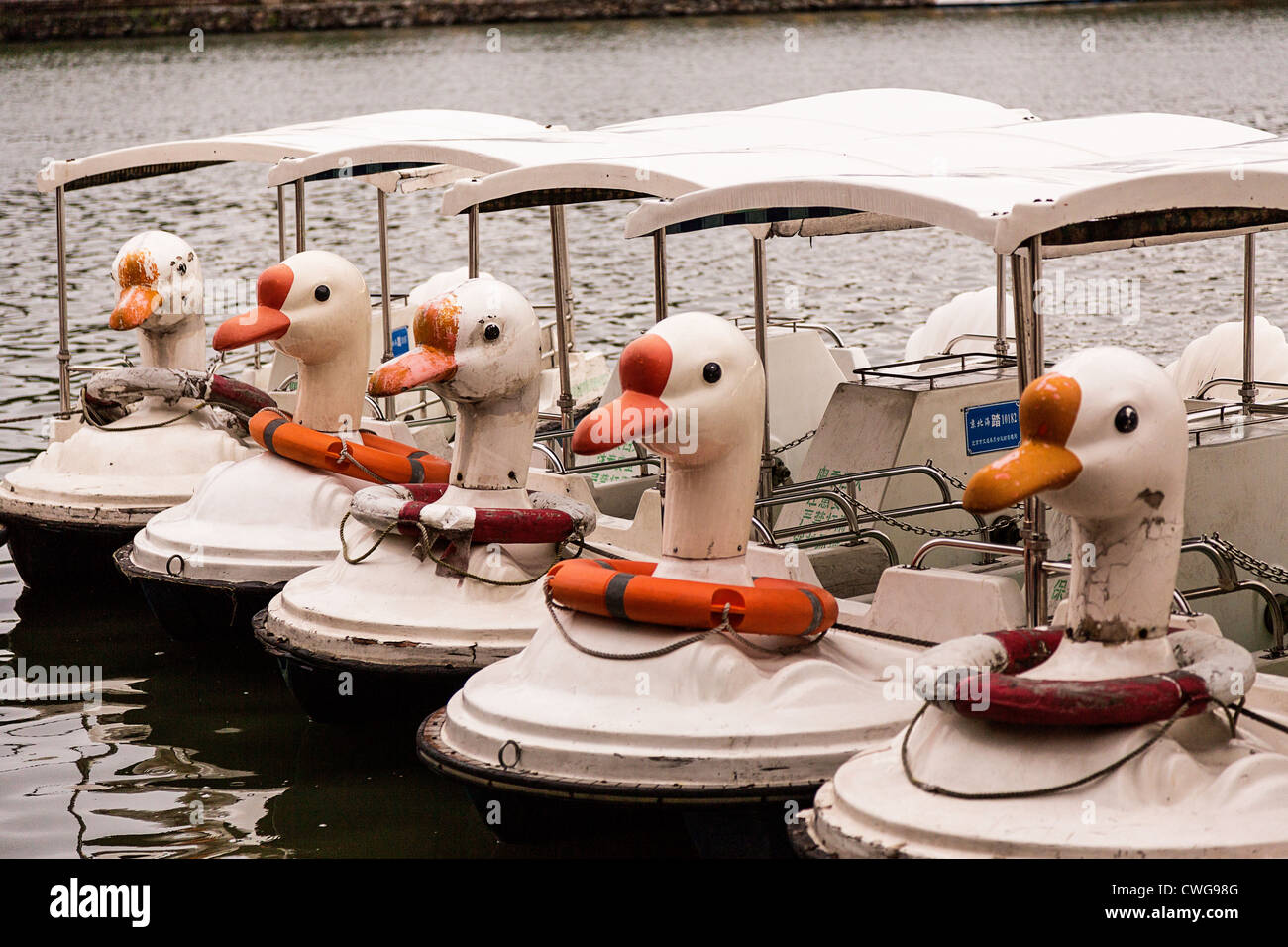 rubber duck paddle boat