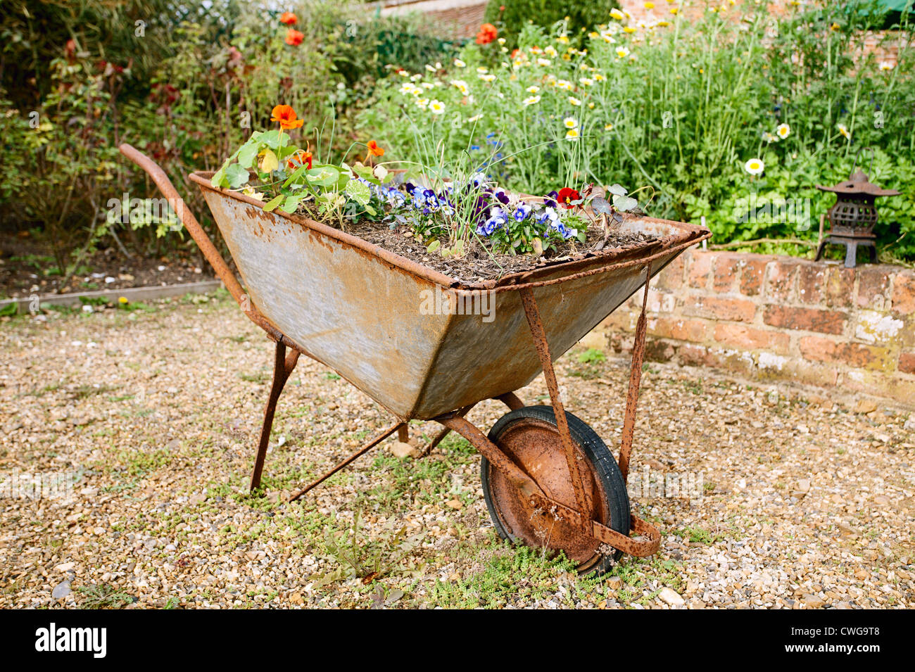 decorative garden wheelbarrow with flowers Stock Photo Alamy