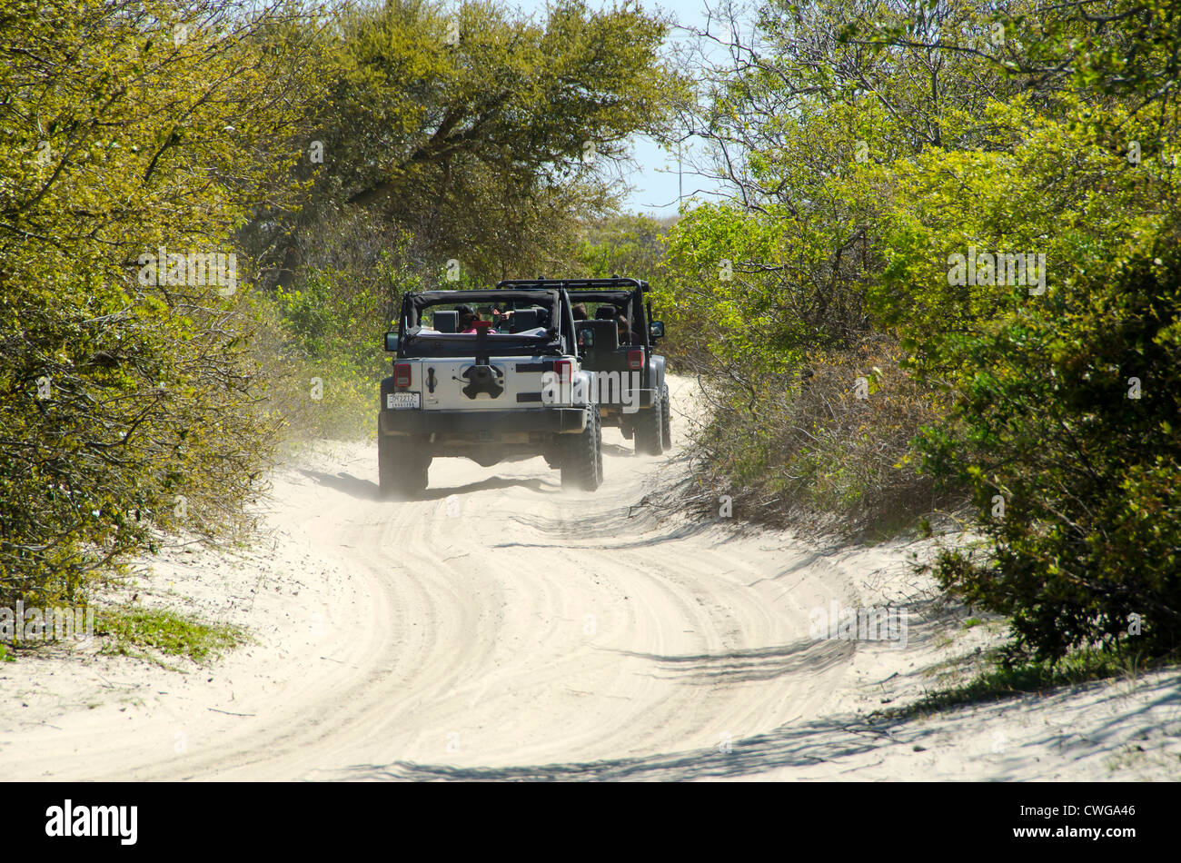 Four wheel drive vehicles driving on sand road on the Outer Banks, North Carolina Stock Photo