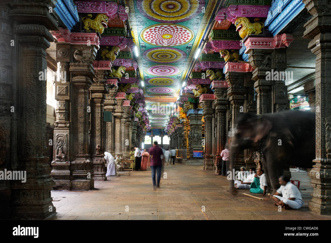 Inside Meenakshi Temple in Madurai South India Stock Photo