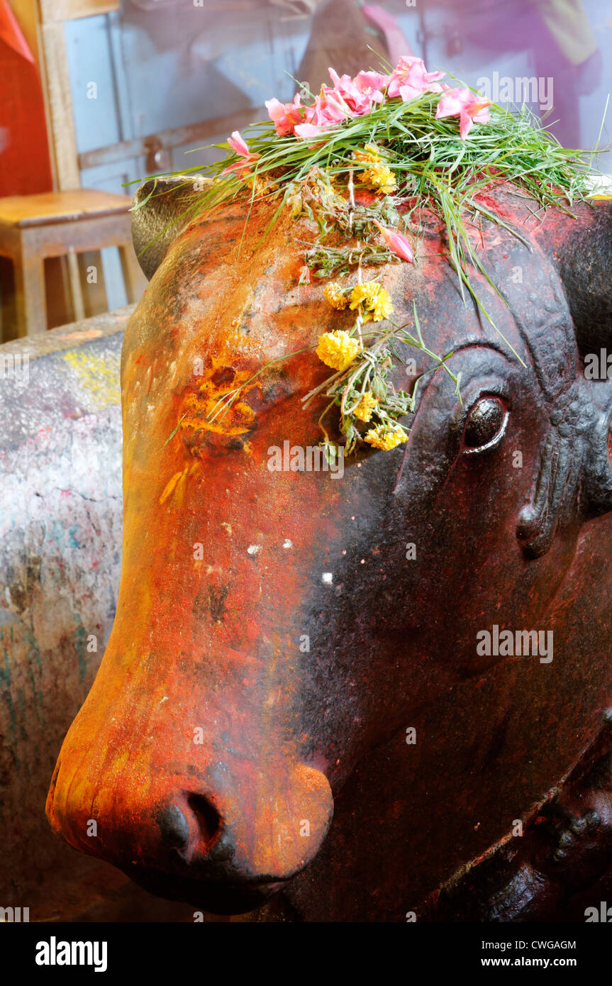 A decorated statue of Nandi the Bull God in a temple in India Stock Photo