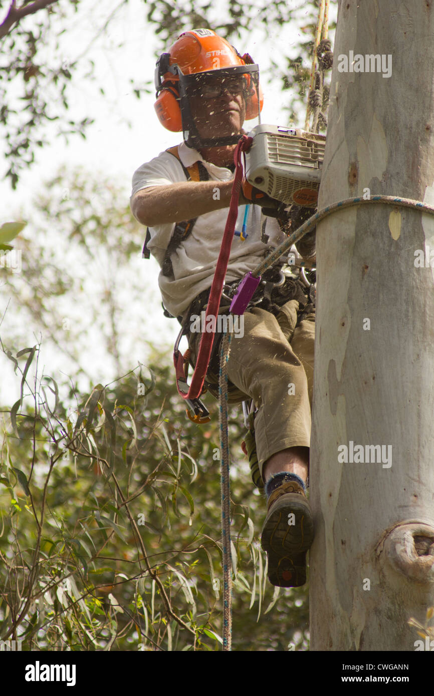 Visorclimb hires stock photography and images Alamy