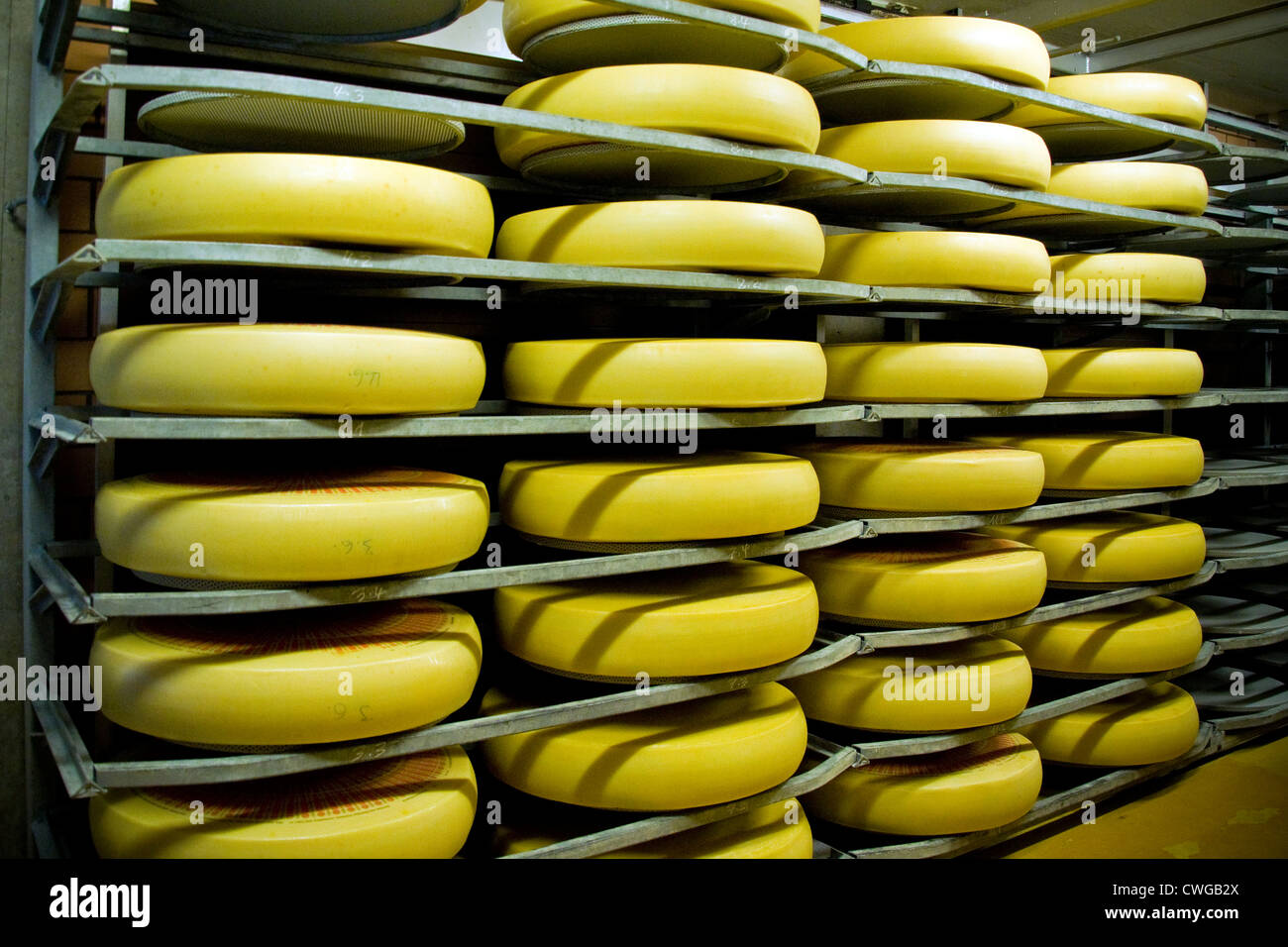 Switzerland, Canton Bern, Affoltern Im Emmental, dairy production of