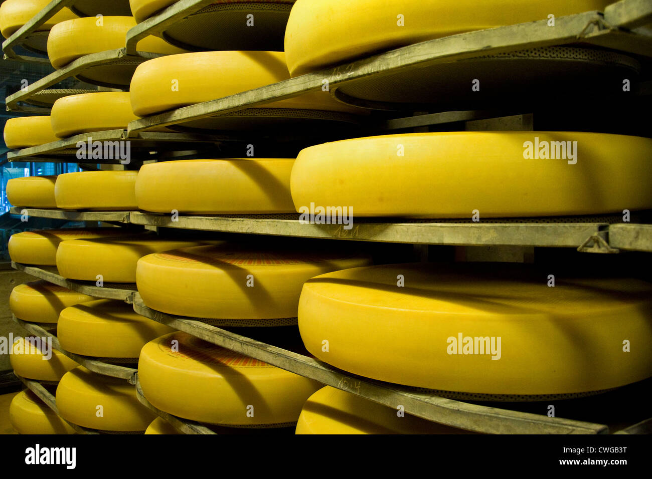 Switzerland, Canton Bern, Affoltern Im Emmental, dairy production of Emmental cheese, Maturing