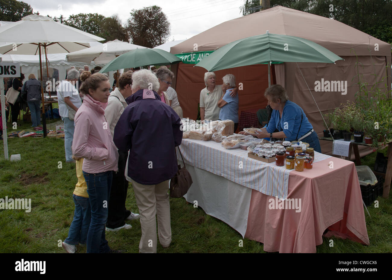 Frogham Fair held in the New Forest Stock Photo Alamy