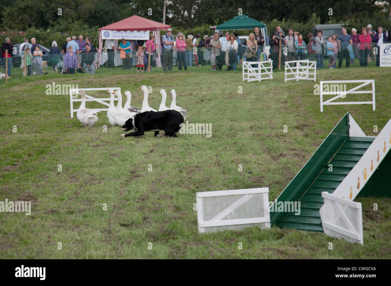 Frogham Fair held in the New Forest Stock Photo Alamy