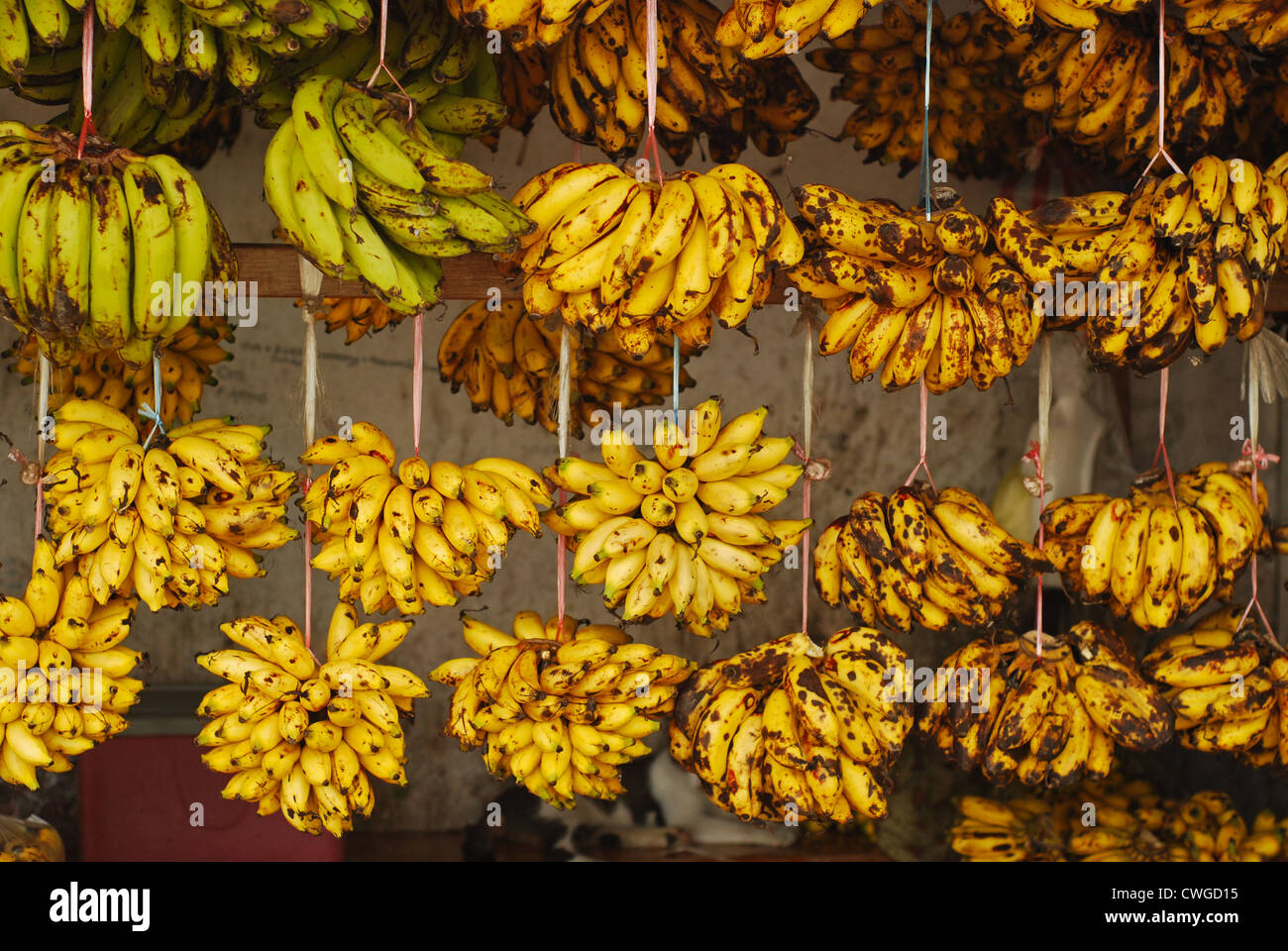 Malaysia, Borneo, Semporna, banana stall Stock Photo