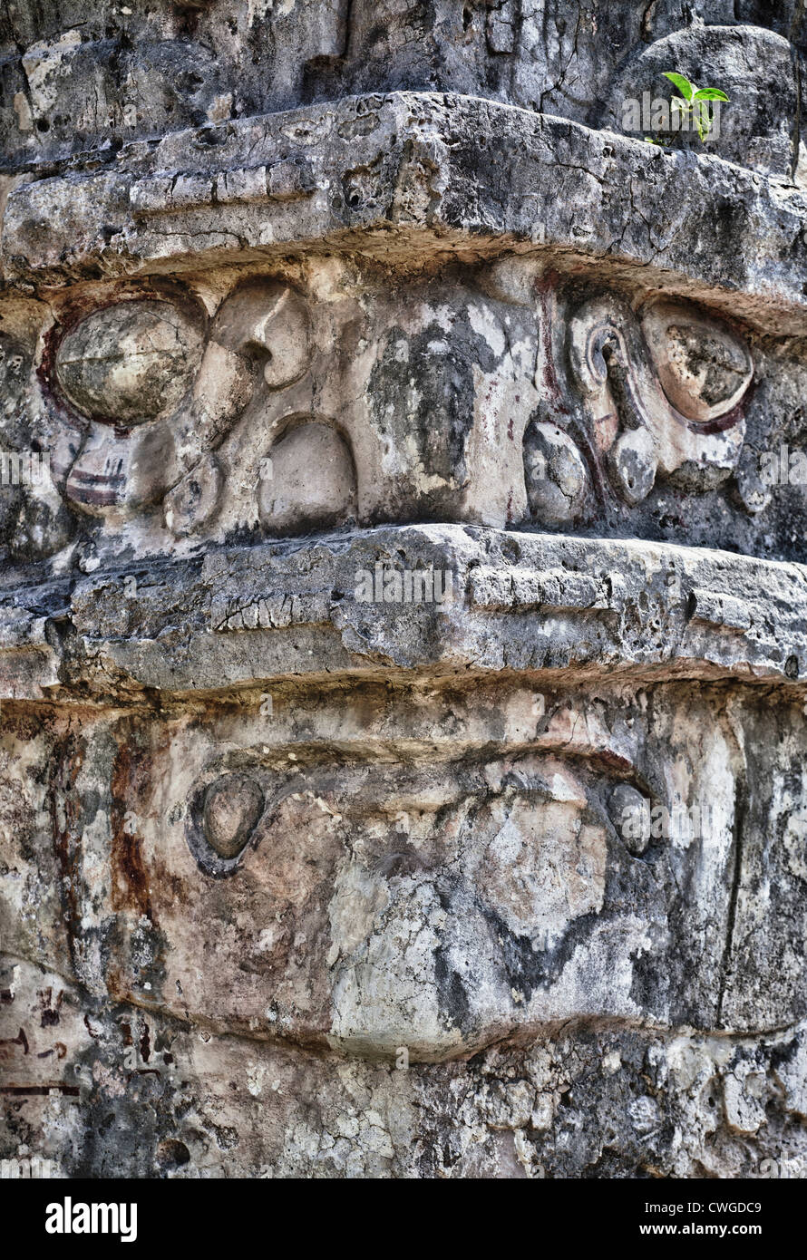 Face of Chaac the Mayan rain god carved in stone, Temple of the Frescoes, Tulum, Yucatan Peninsula, Quintana Roo, Mexico Stock Photo