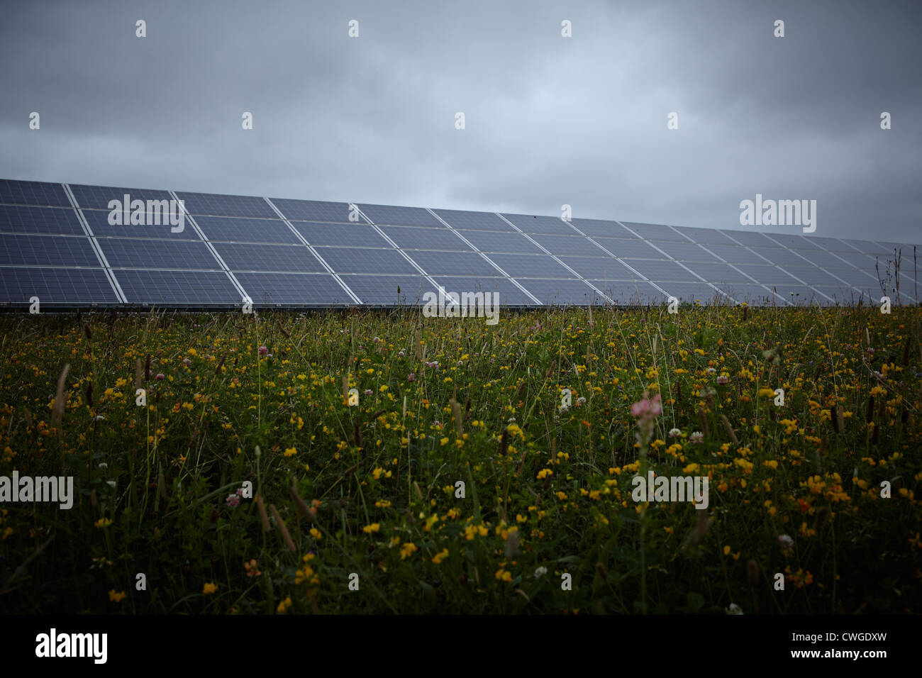 Westmill Solar Farm Watchfield near Swindon. Westmill is one of the UK's largest solar farms. Stock Photo