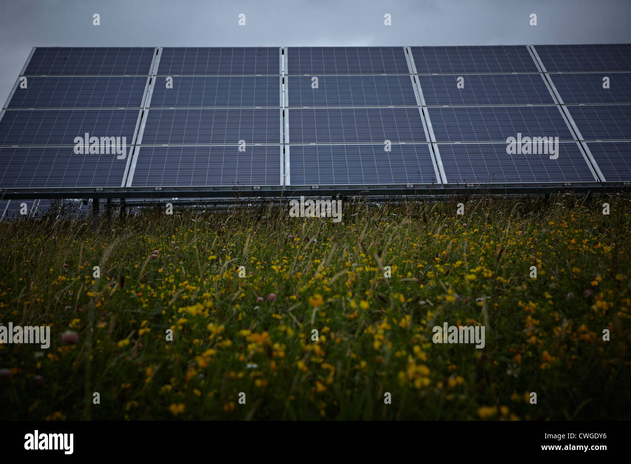 Westmill Solar Farm Watchfield near Swindon. Westmill is one of the UK's largest solar farms. Stock Photo