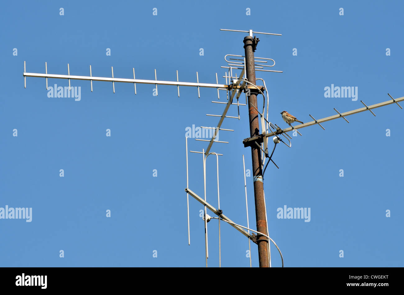 Vintage tv antenna hires stock photography and images Alamy