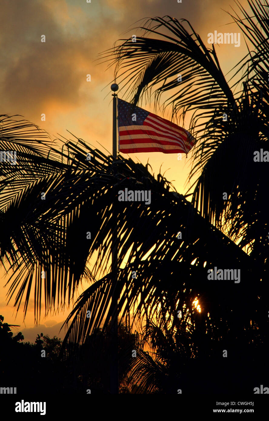 USA flag flying at sunset in Florida, USA. Stock Photo