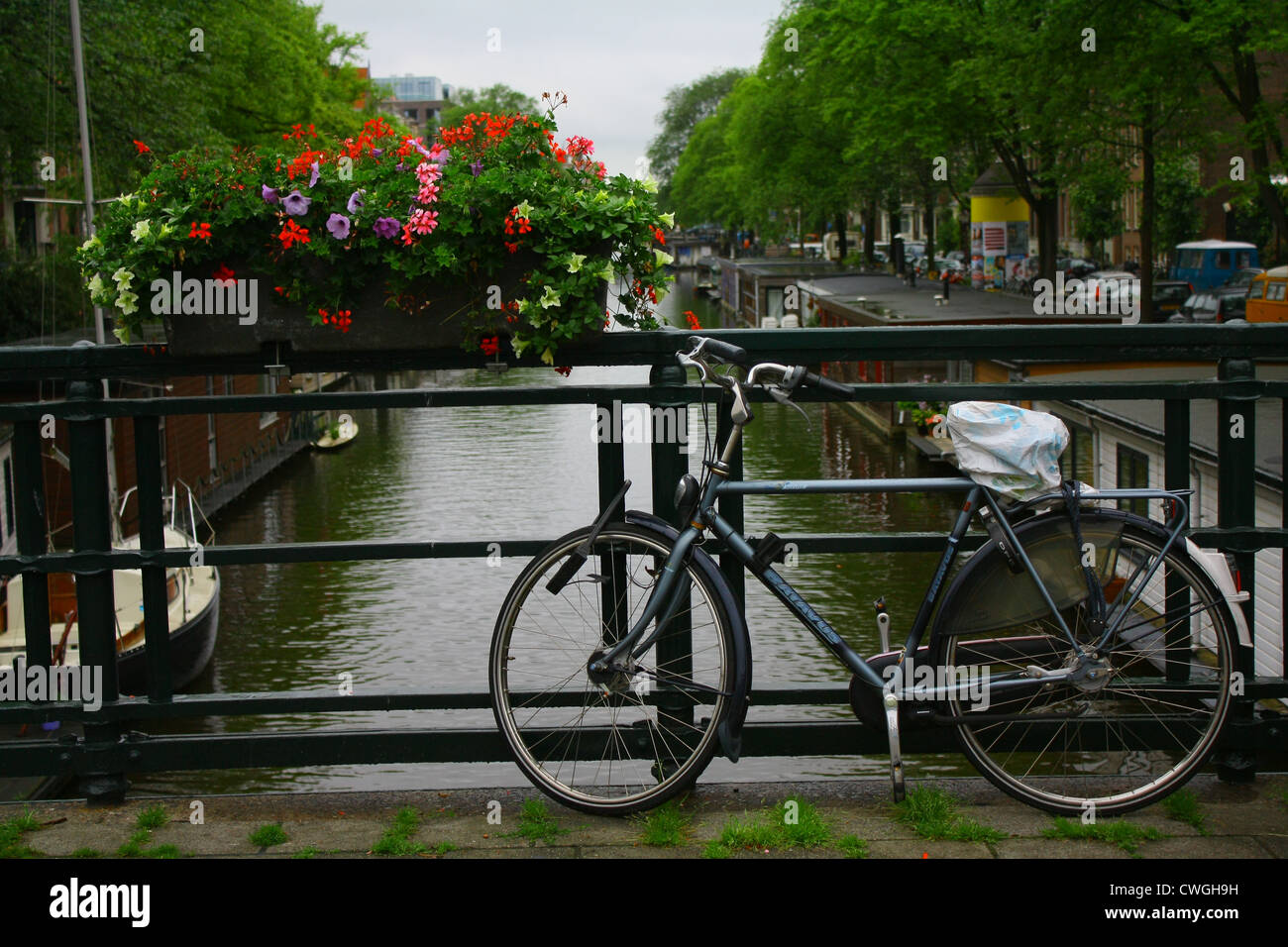 Bicycles in Amsterdam Stock Photo Alamy