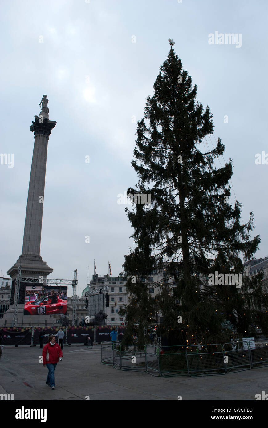 Christmas tree in Trafalgar Square with Nelson's Column Stock Photo Alamy