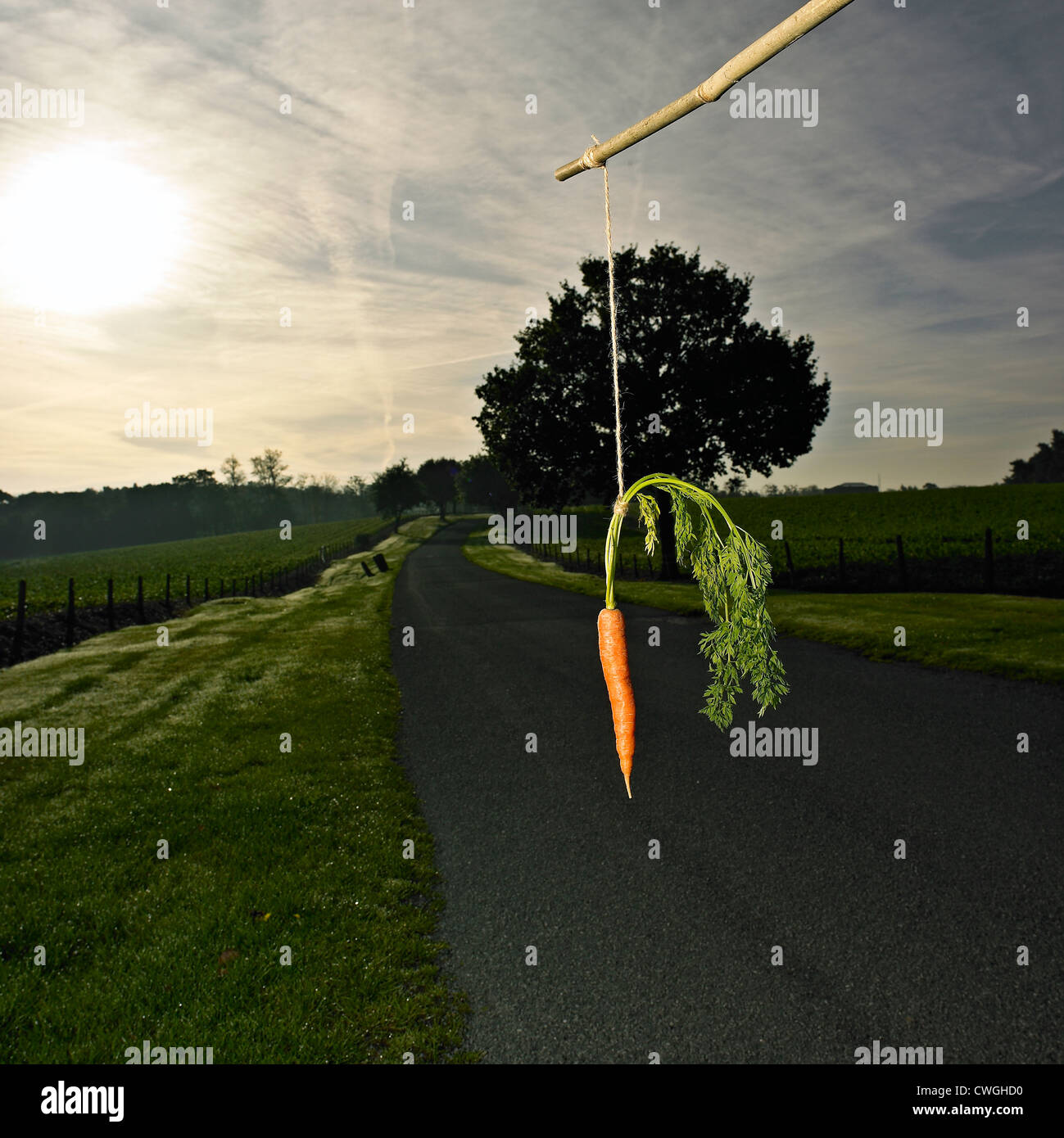 Carrot and stick business hires stock photography and images Alamy