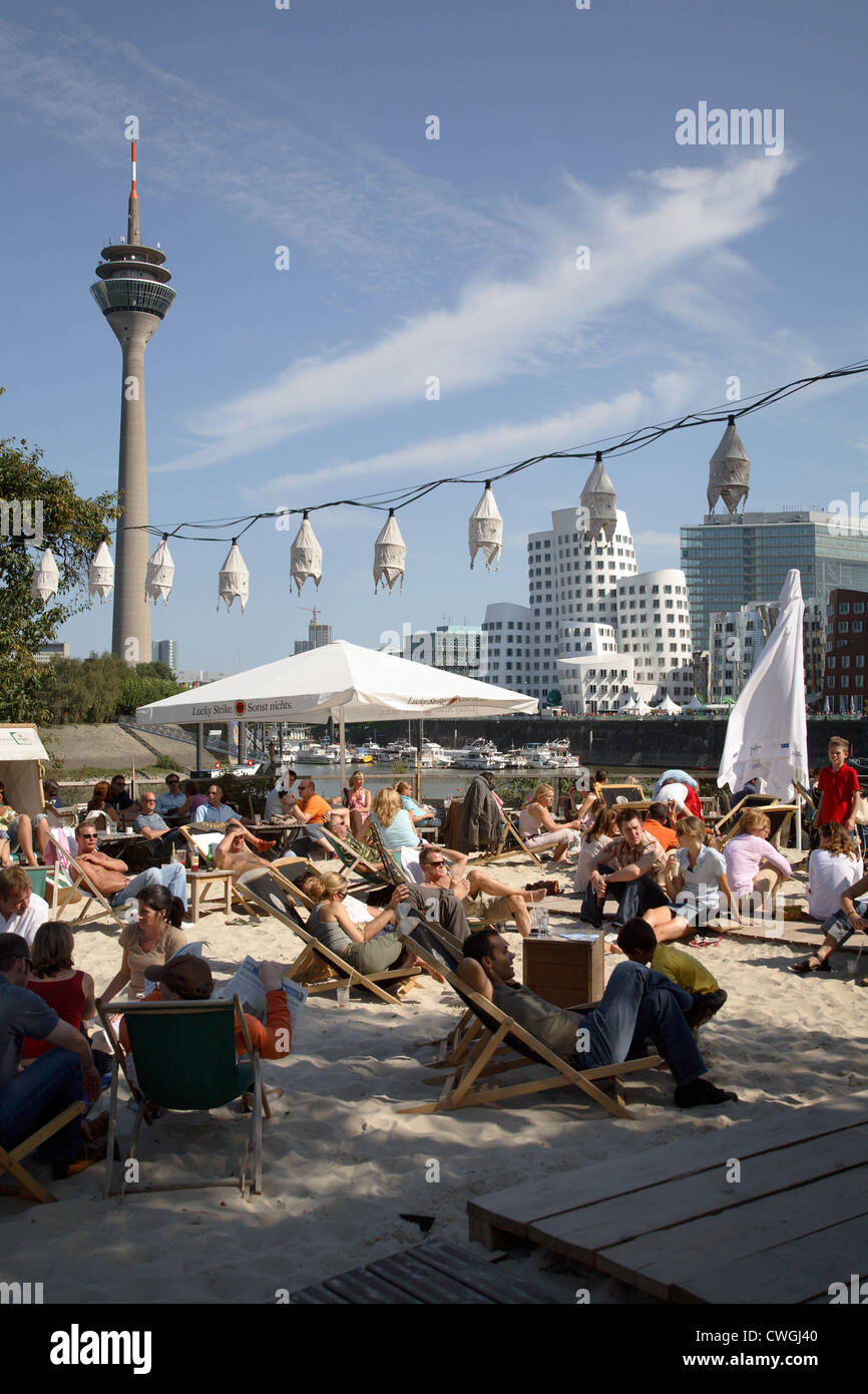 Duesseldorf, Monkey Iceland in the Media Harbour Stock Photo Alamy