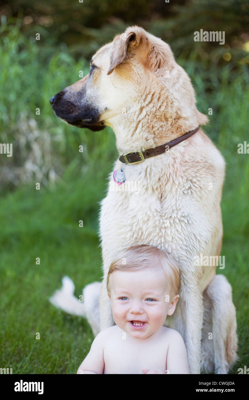 Baby boy sitting with his large white dog on grass. Stock Photo