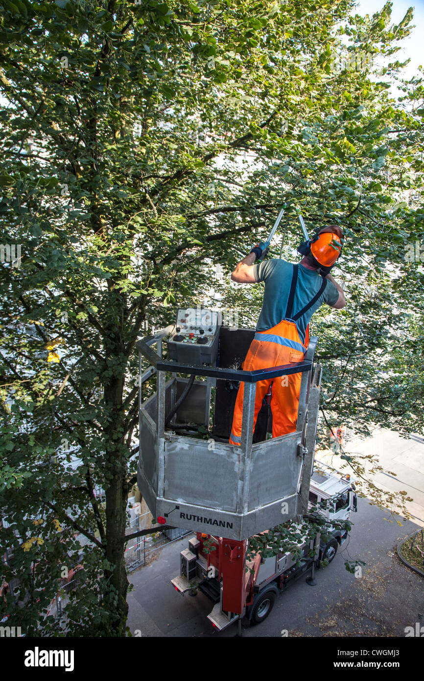 Landscaping, tree care, cutting of dangerous branches of a tree Stock