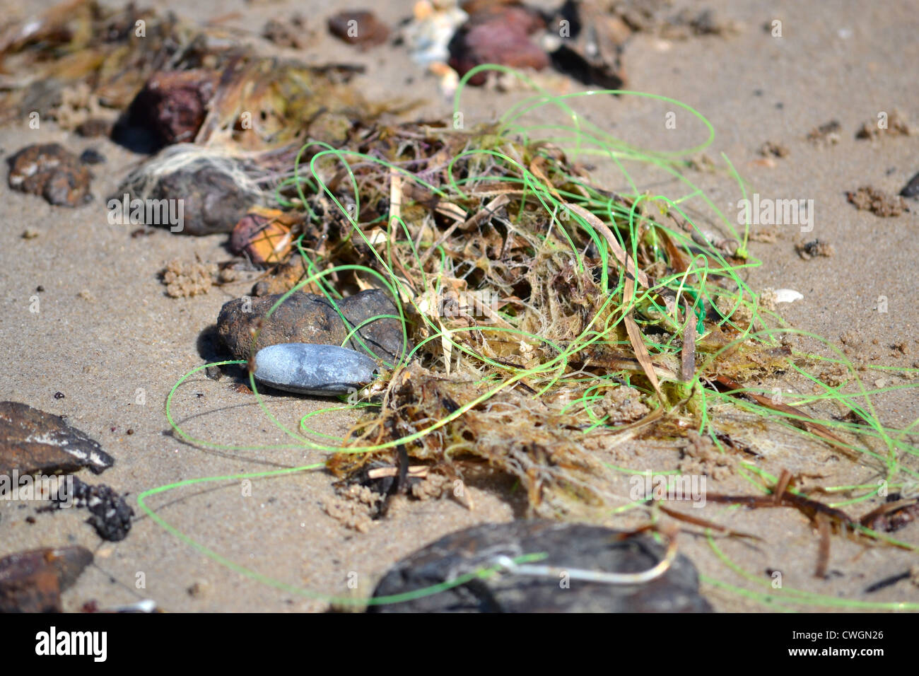 https://c8.alamy.com/comp/CWGN26/discarded-fishing-line-with-hook-and-sinker-washed-up-on-the-beach-CWGN26.jpg