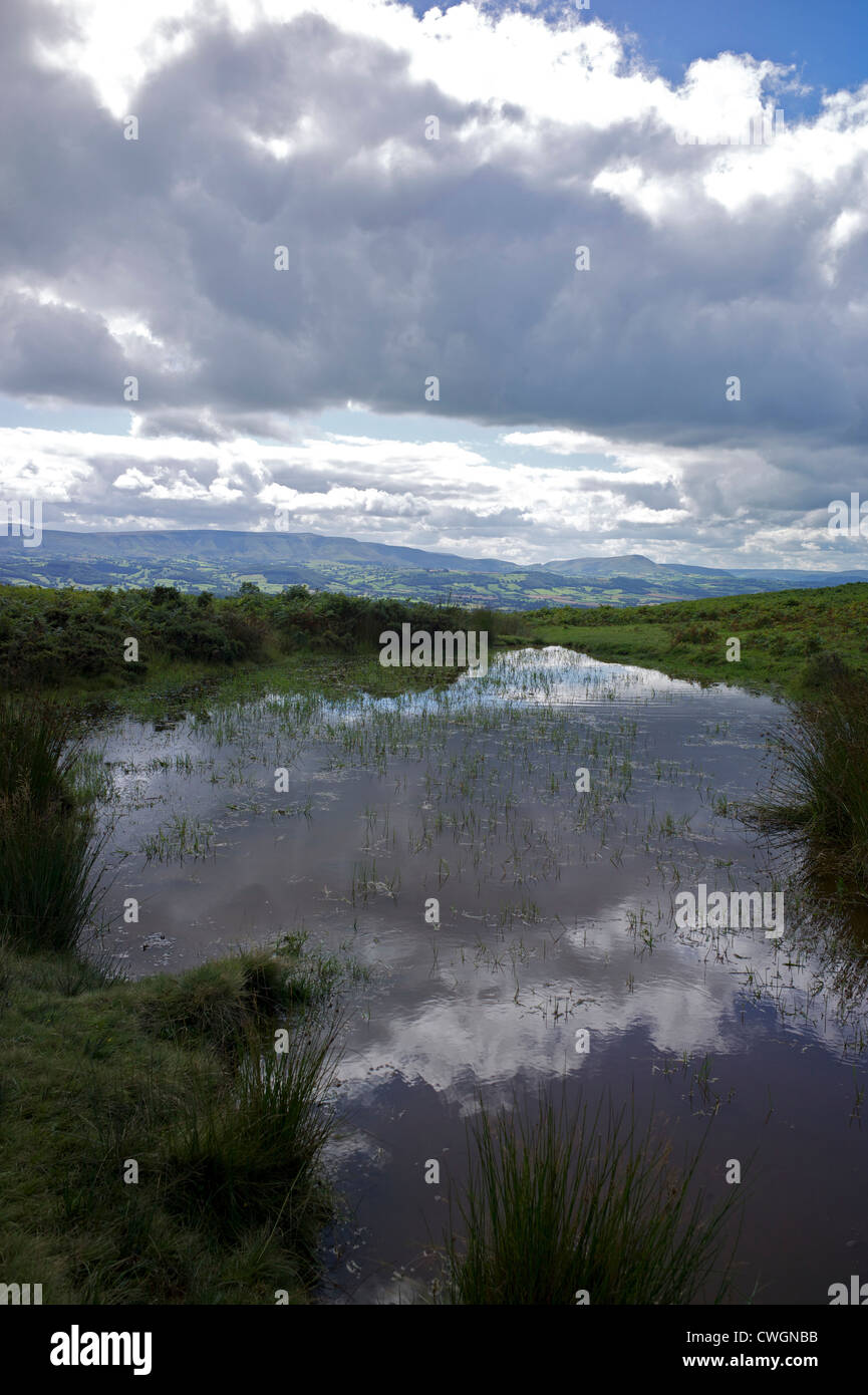Pool on the Begwns, Powys Wales UK Stock Photo