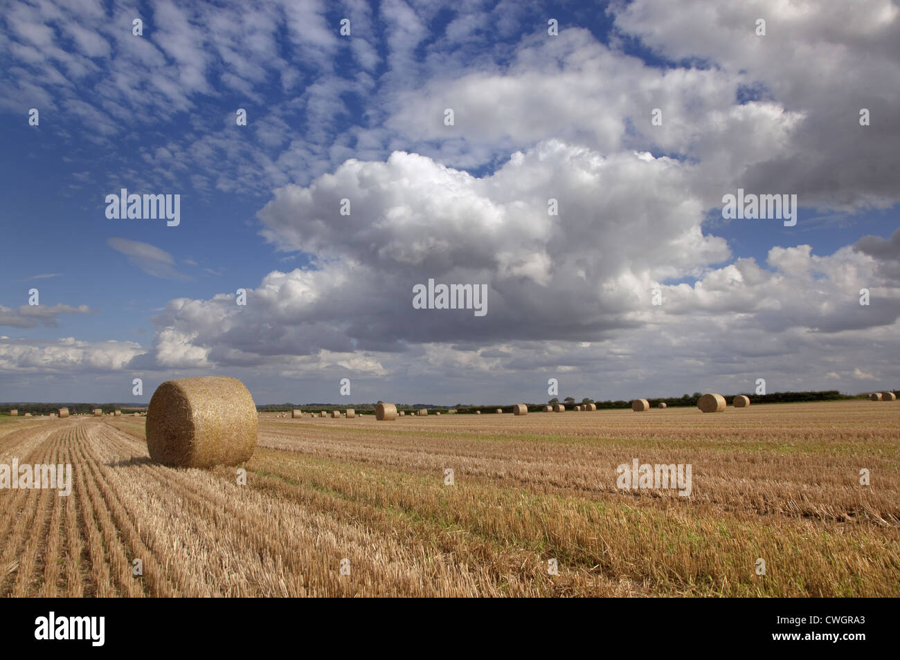 Stubble and Bales after Harvest Norfolk August Stock Photo - Alamy