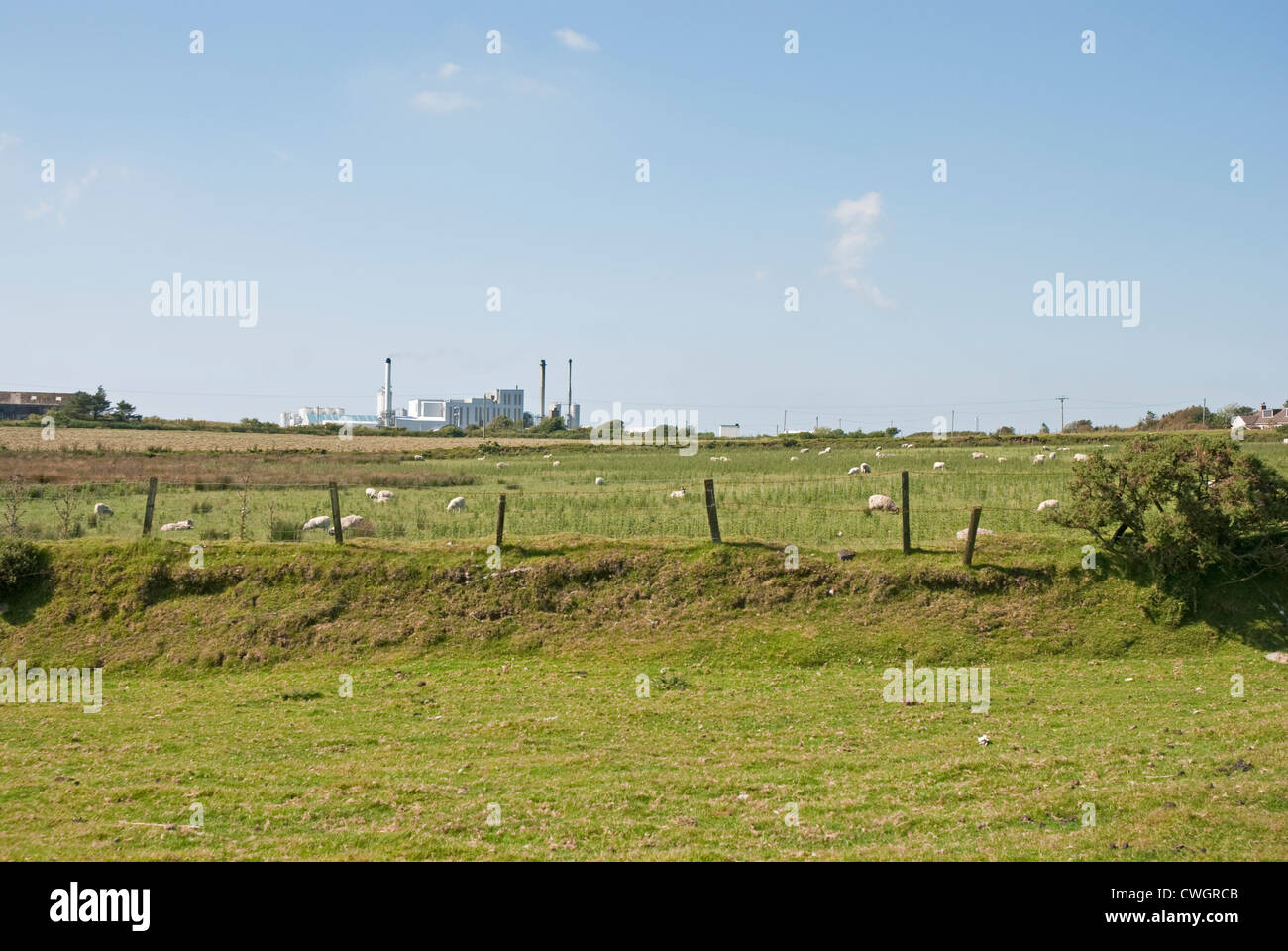 Dairy Crest's factory where Cathedral City cheese is produced